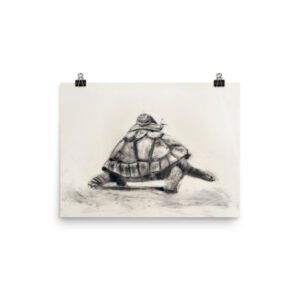 A Caracol on Turtle Island